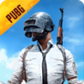 beta pubg mobile国际服体验服