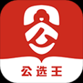 公选王app